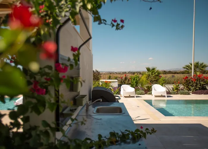 Nadine Sea Side * لارنكا